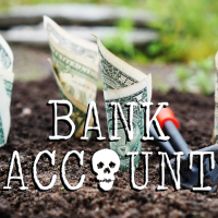 Bank Account - Full Cover cover